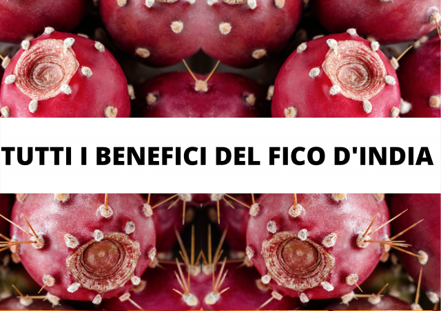 fico d'india