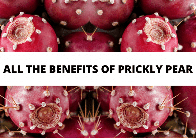 PRICKLY PEAR JUICE