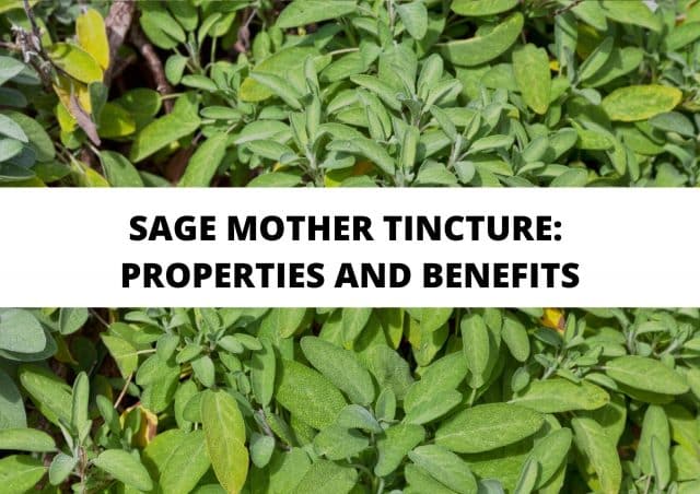 sage mother tincture