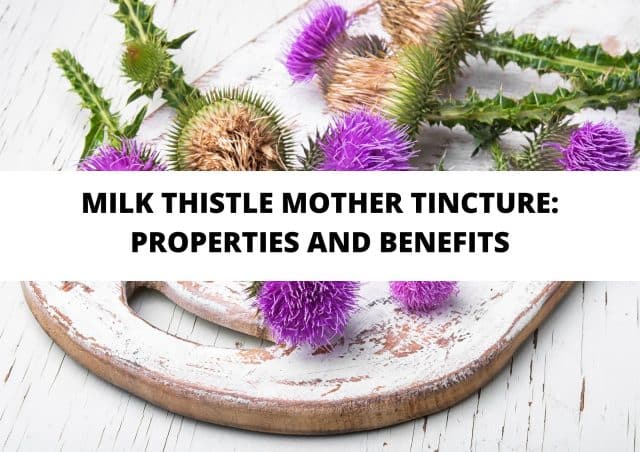 milk thistle mother tincture