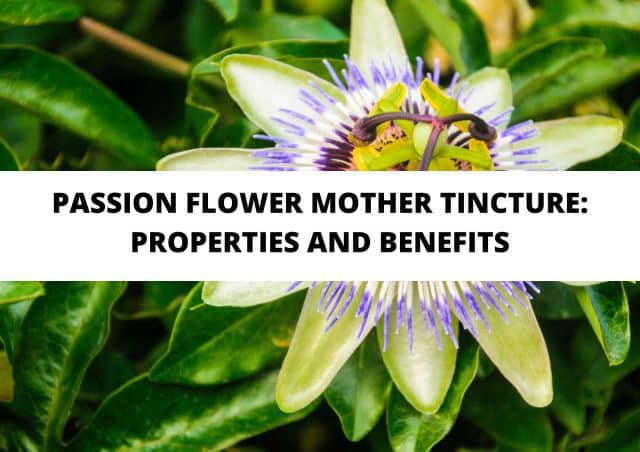 passion flower mother tincture