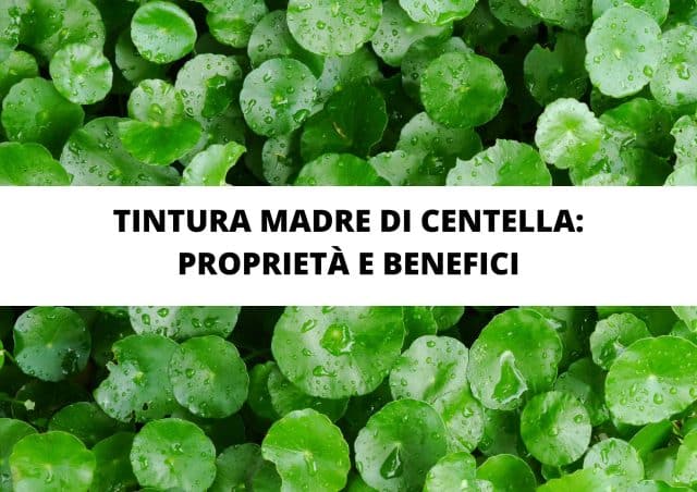 centella tintura madre